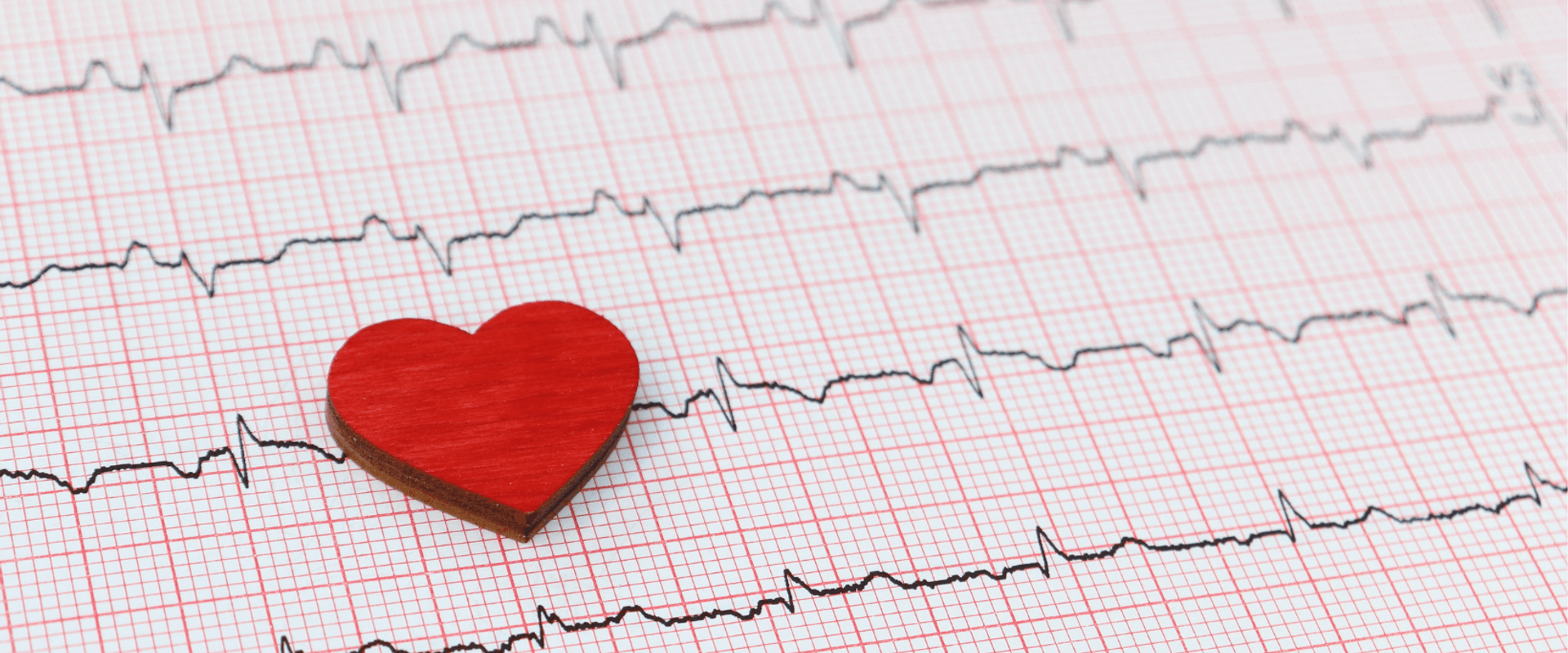 Titulní fotografie na web Dialigy (19).png